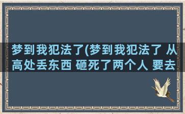 梦到我犯法了(梦到我犯法了 从高处丢东西 砸死了两个人 要去判刑)